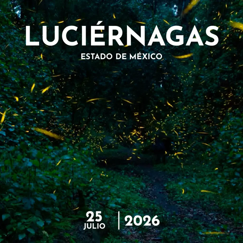 Práctica Fotográfica “Luciérnagas” Amecameca, Edo de México