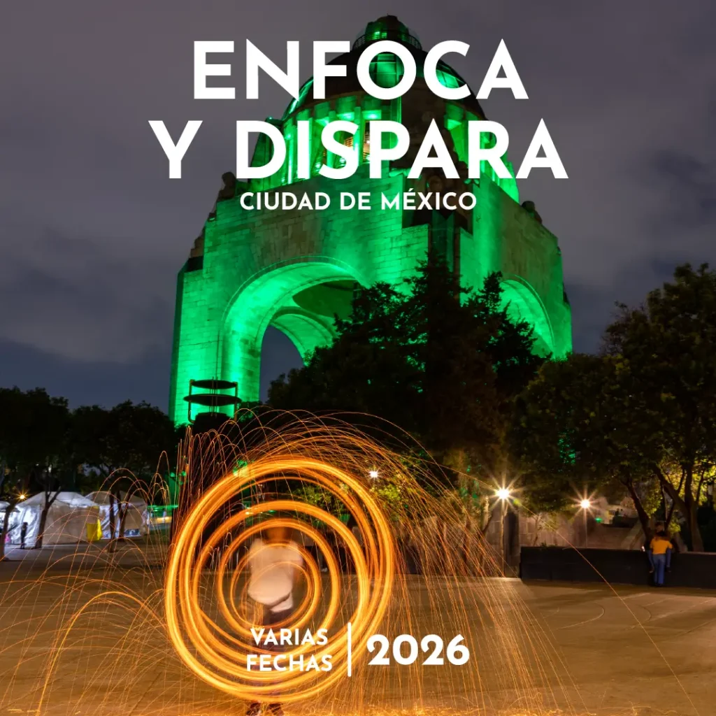Enfoca y Dispara: Curso Intensivo de Fotografía para Principiantes