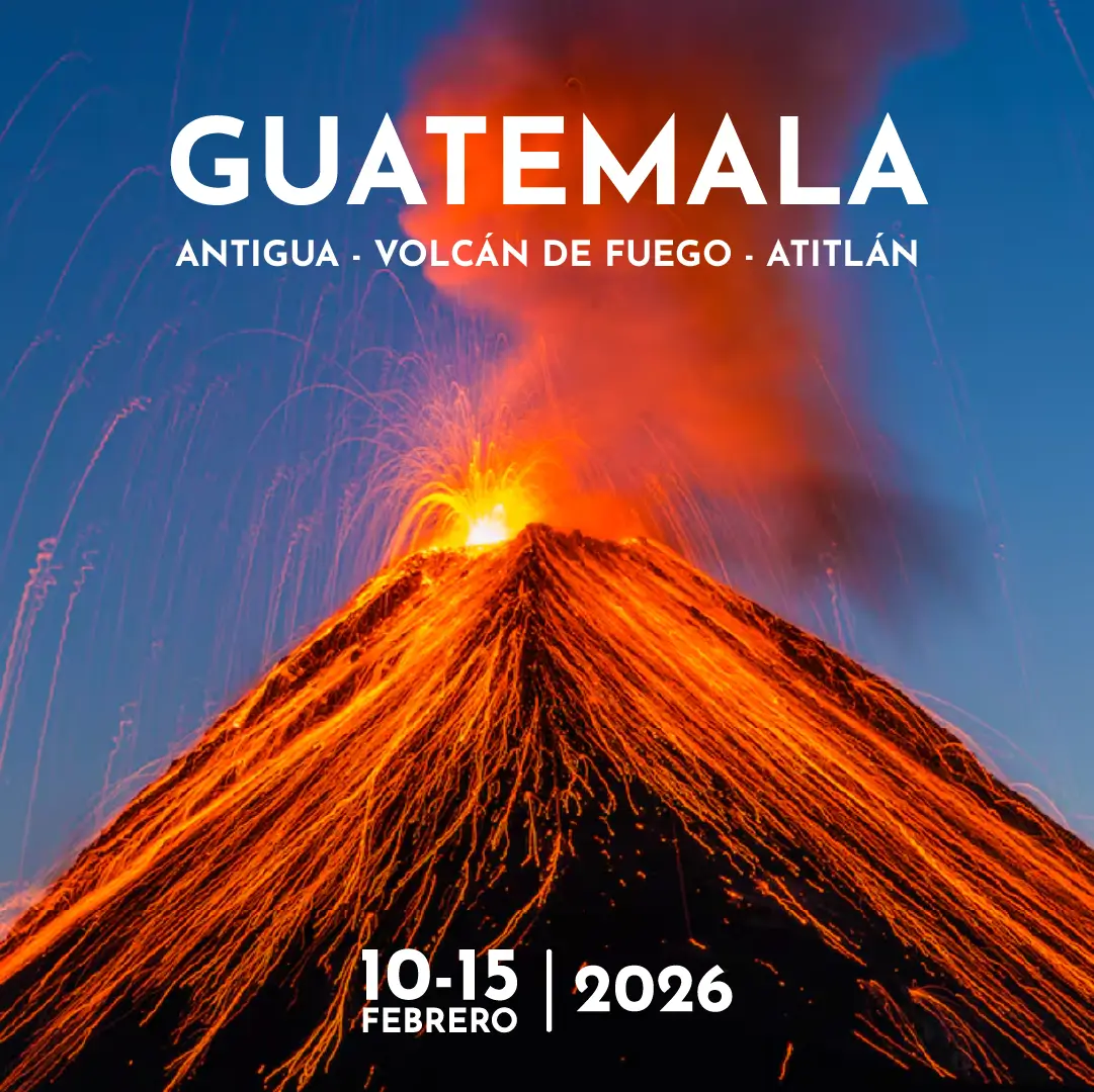 WEB-FT-GUATEMALA-main