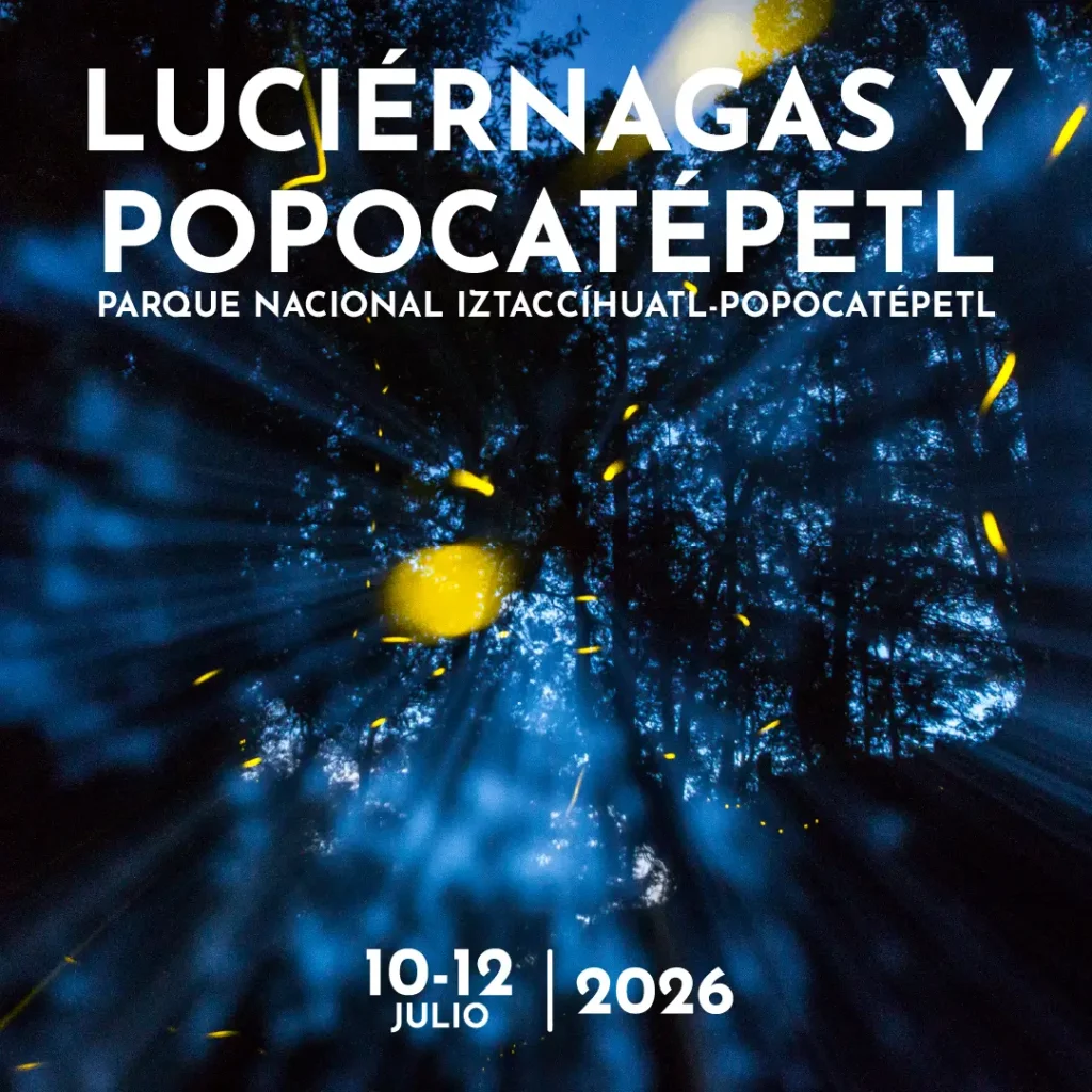 Campamento Fotográfico Luciérnagas y Amanecer Popocatépetl