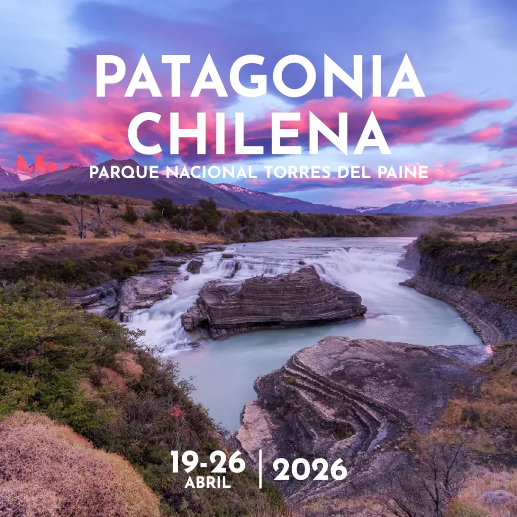 Campamento Fotográfico “Otoño Austral” en la Patagonia Chilena. Parque Nacional Torres del Paine