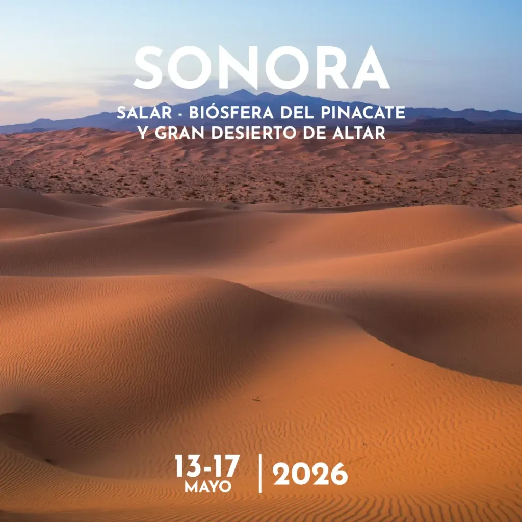 Campamento Fotográfico “Entre Dunas, Cráteres y Salares” Biosfera del Pinacate y Golfo de Santa Clara.