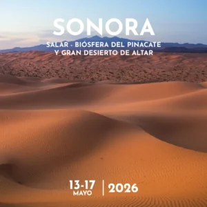 Campamento Fotográfico "Entre Dunas, Cráteres y Salares" Biosfera del Pinacate y Golfo de Santa Clara.