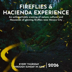 Fireflies & Hacienda Experience